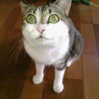 カナタ